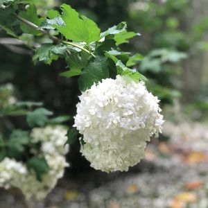 Meet your Posher, Ebony